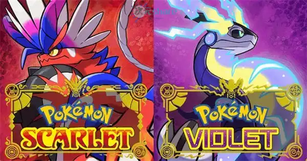 《宝可梦朱紫》新手攻略丨注意事项