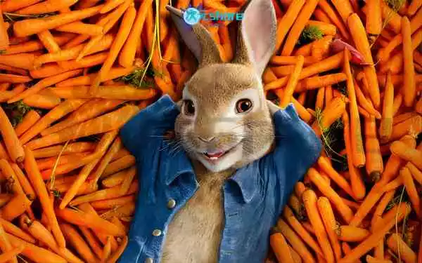 动画电影电视剧等4K壁纸（1000张）丨漫威、迪士尼、国产电视剧等壁纸阿里云盘下载