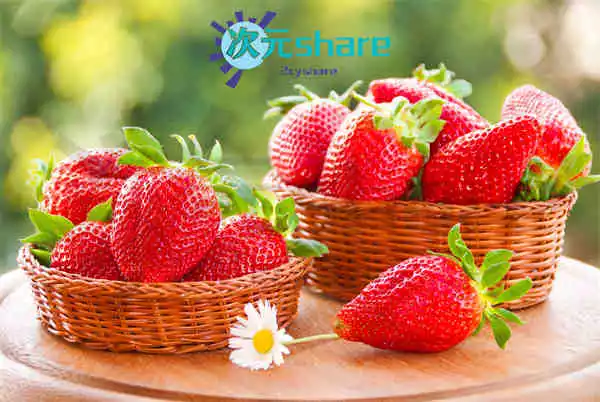 风景电影美女4K壁纸（244张）阿里云盘下载